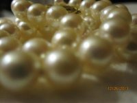IMG_0113.jpg