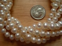 three dollar pearls.jpg