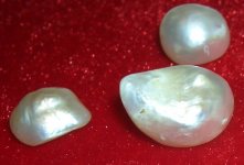 DrTom's pearls 022.jpg