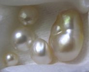 DrTom's pearls 015crop.jpg