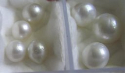 DrTom's pearls 022small.jpg