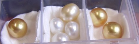 DrTom's pearls 067.jpg