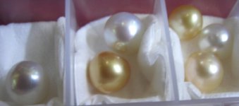 DrTom's pearls 073small.jpg