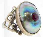 Abalone.JPG