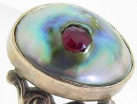 Abalone3ba copy.JPG