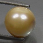 350975203004-1.jpg