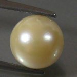 350975203004-2.jpg