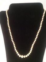 mikimoto2.jpg