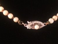 mikimoto3.jpg