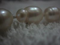 IMG_5386.jpg