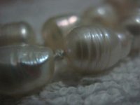 IMG_5396.jpg
