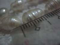 IMG_5397.jpg