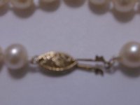 WP_001395.jpg