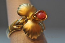 BB JN Conch Ring.jpg BB JN Conch Ring.jpg