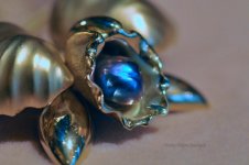 BB JN Blue Pearl.jpg BB JN Blue Pearl.jpg