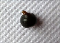 3-P1150423.JPG