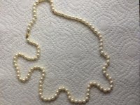 strand.jpg