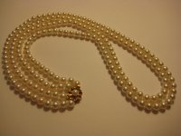IMG_0008.jpg