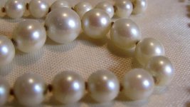 sea island pearl necklace close 2.jpg sea island pearl necklace close 2.jpg