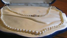 sea island pearl necklace in box.jpg sea island pearl necklace in box.jpg