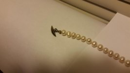 20150303_220831.jpg