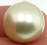 16.5x16.3 Creamy White SS Pearl.jpg