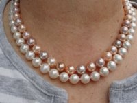 nested pearls on overcast day.jpg