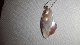 20150623_145428.jpg