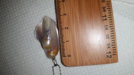 20150623_145512.jpg