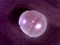 View of Drill Hole.jpg