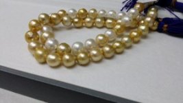 Pearlescence HK 9-15.jpg