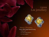 LJ Rough Diamond Earrings.jpg