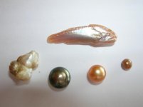 natural pearl form fish (3).jpg