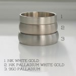 white gold v palladium white gold.jpg