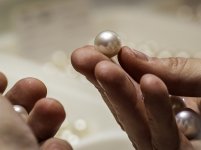 Australian South Sea pearls.jpg