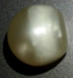 pearl wit band side view.jpg