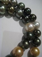 Pelosi strand 014.jpg