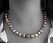 Collar 2008 029 copy [320x200].jpg