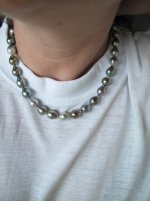 IMG_6966.jpg