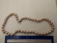 20160516_121813.jpg
