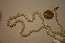 IMG_4690.jpg