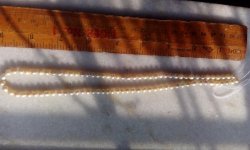 IMG_20160607_065905.jpg