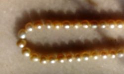 IMG_20160607_065827.jpg