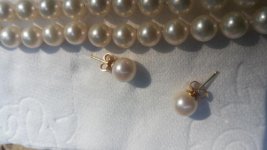 20160610_164911.jpg