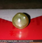 IMG-20161214-WA0005-1.jpg