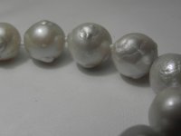PC153161.jpg