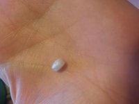 20160823_184509.jpg