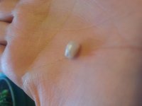20160823_184501.jpg