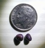 pearl 3 (2).jpg