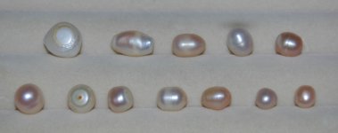 south-sea-pearls-2.JPG